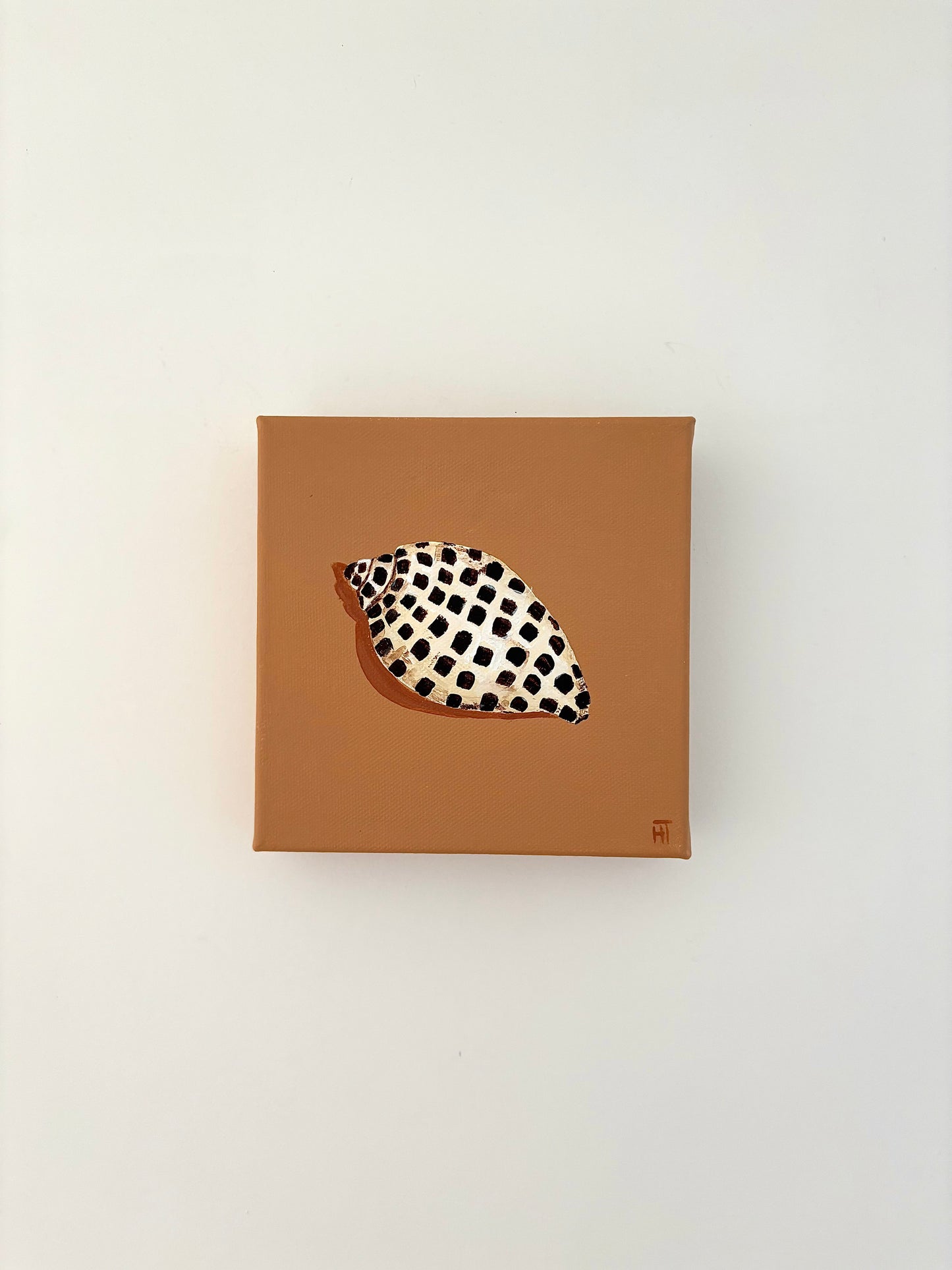 Summer shell