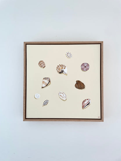 Pocketful of shells