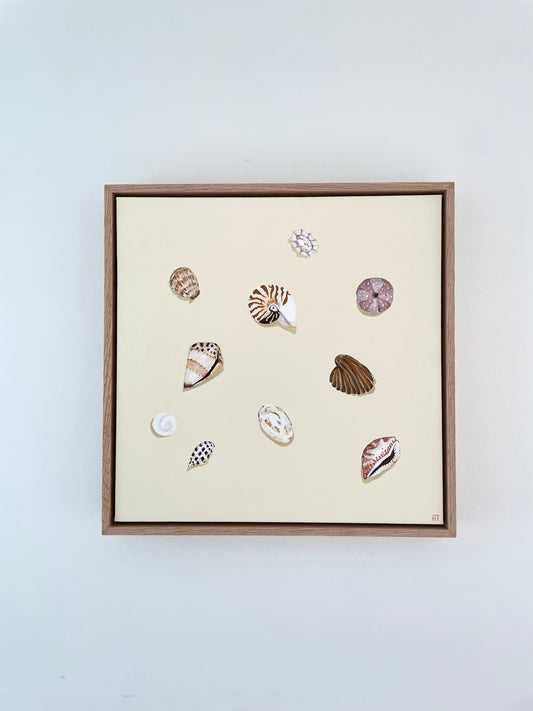 Pocketful of shells