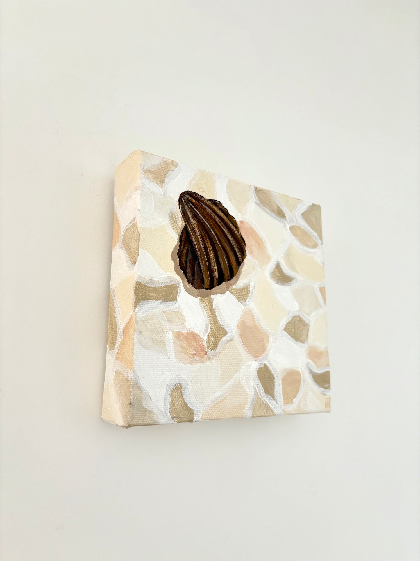 Crazy pave seashell
