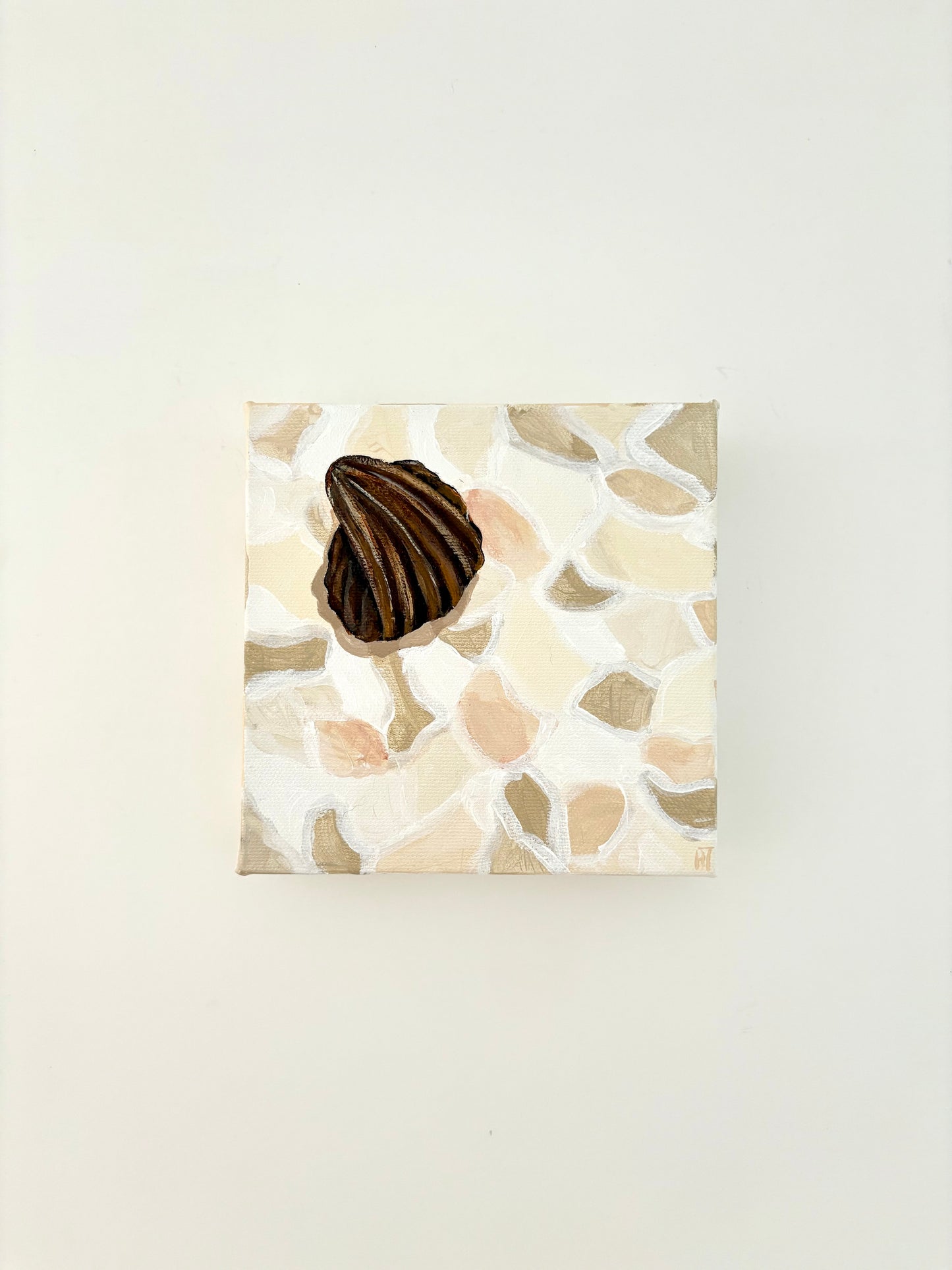 Crazy pave seashell