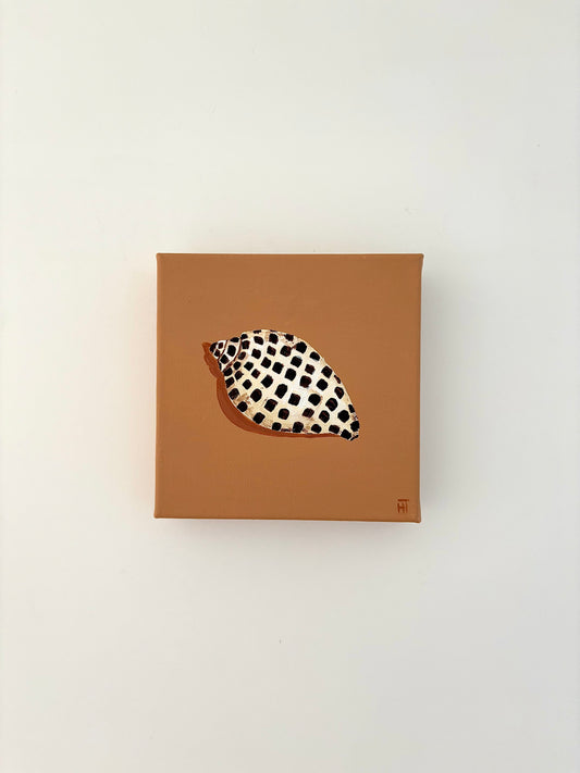 Summer shell