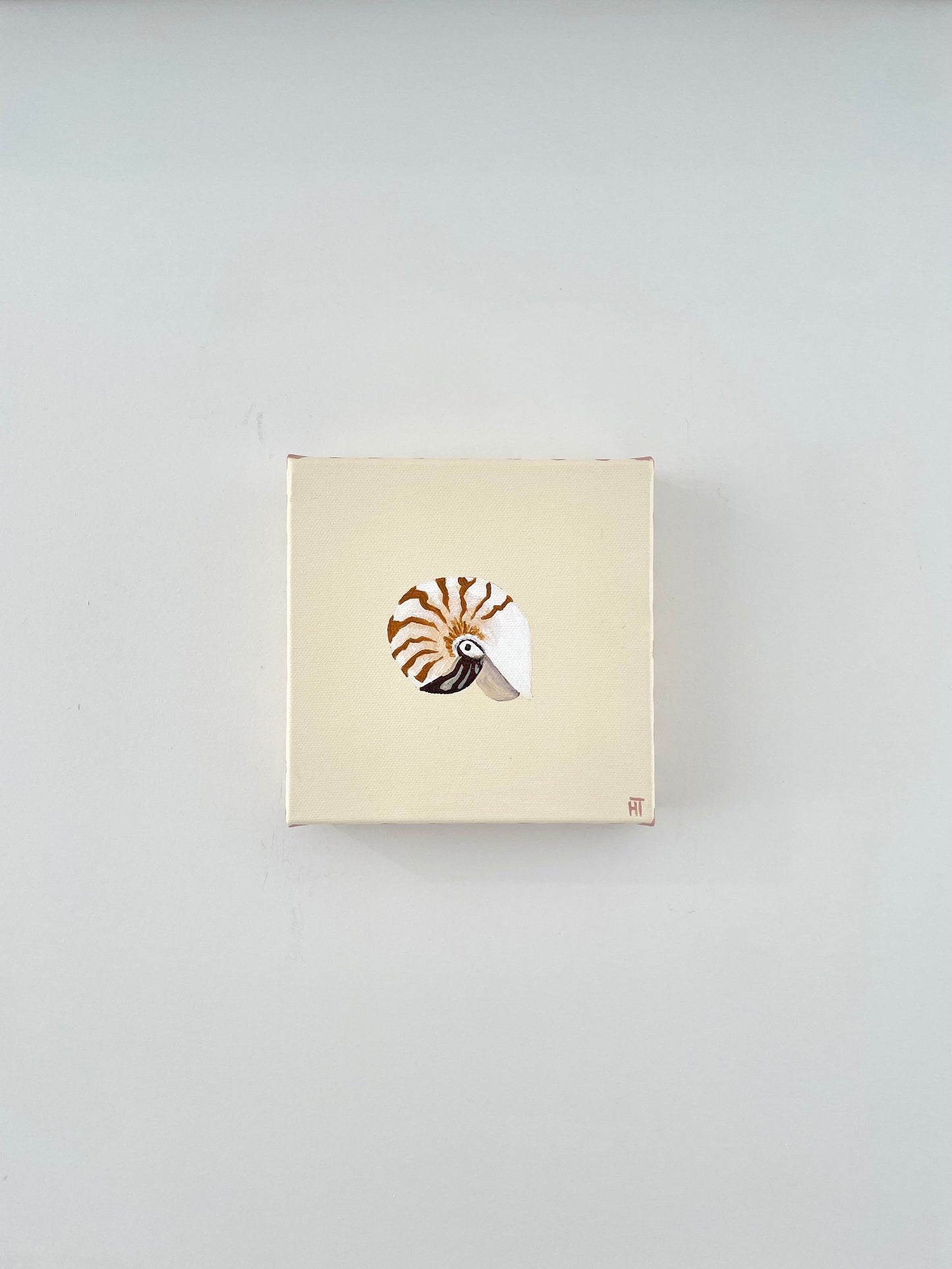 Nautilus