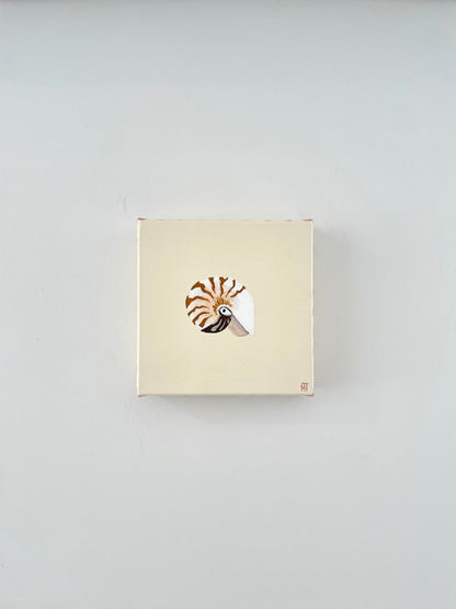 Nautilus