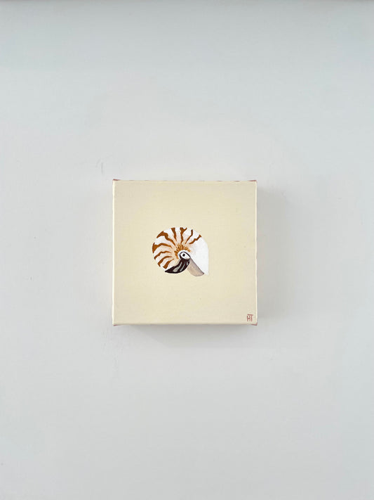 Nautilus