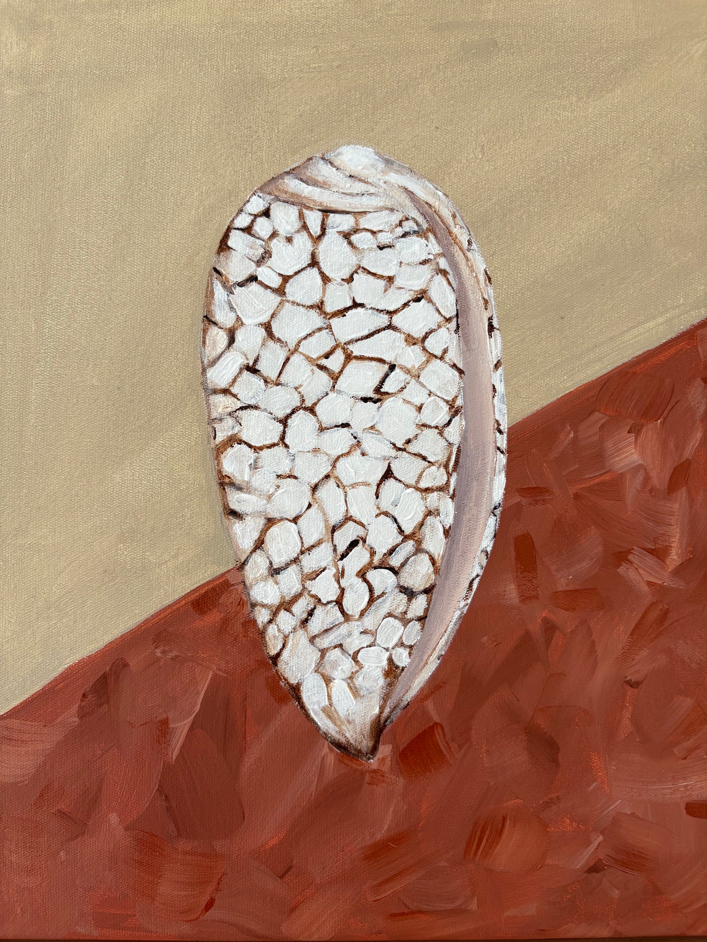 Moody seashell