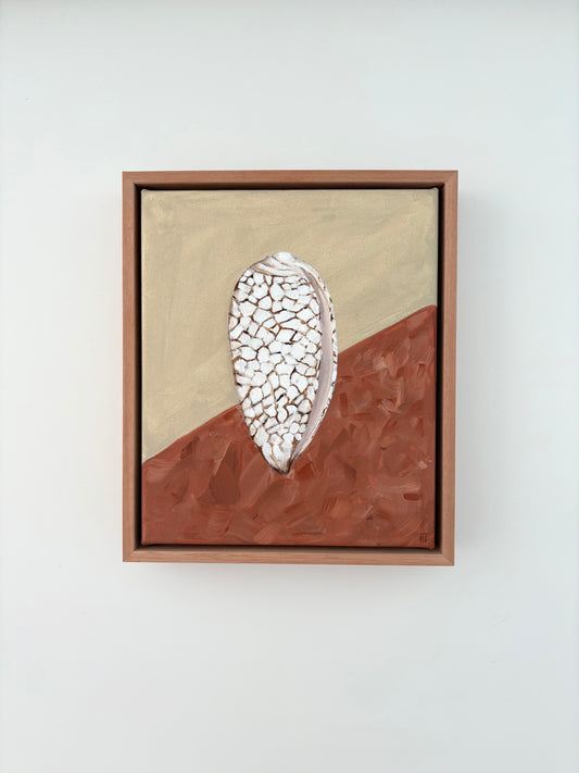Moody seashell