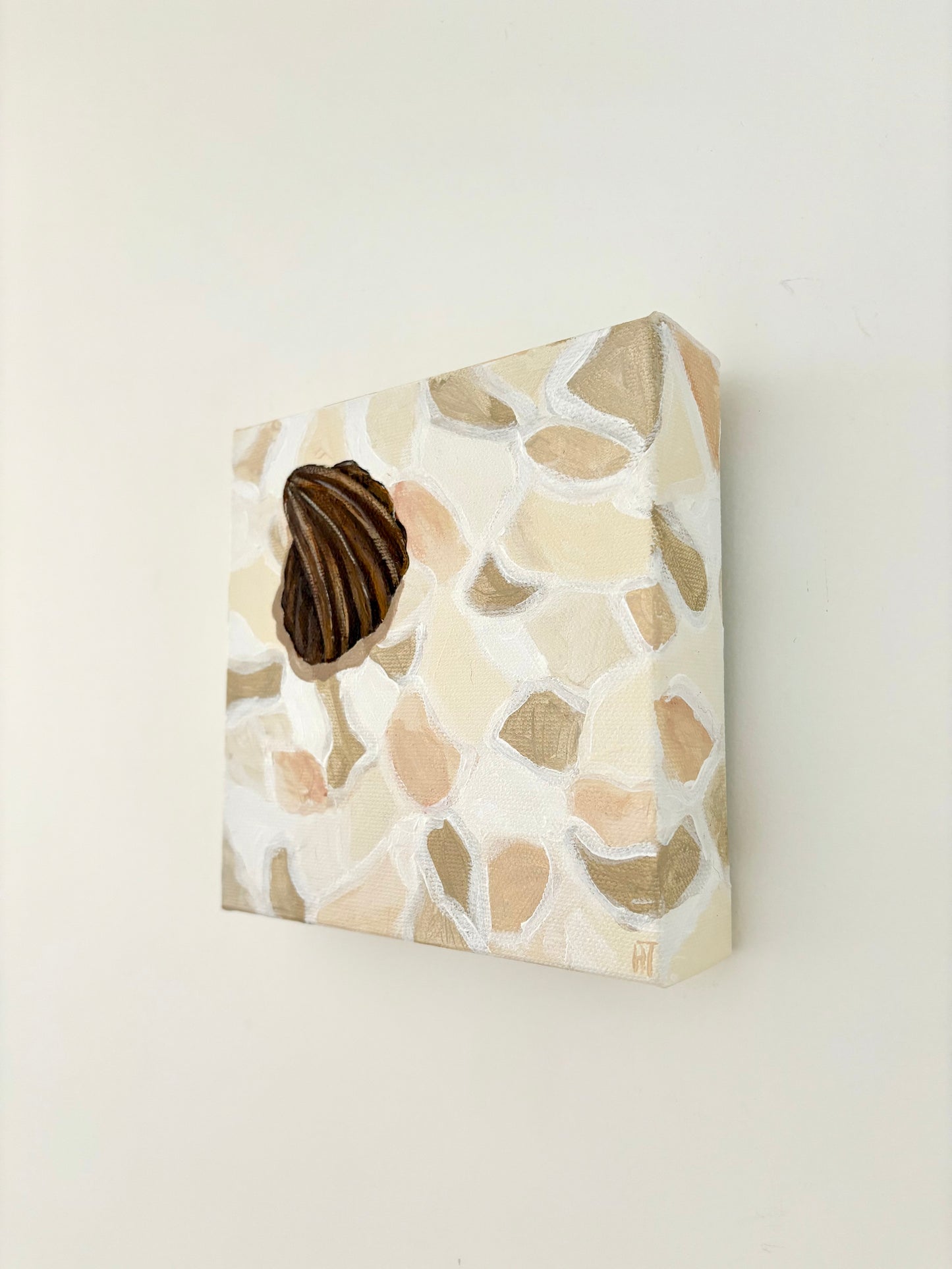 Crazy pave seashell