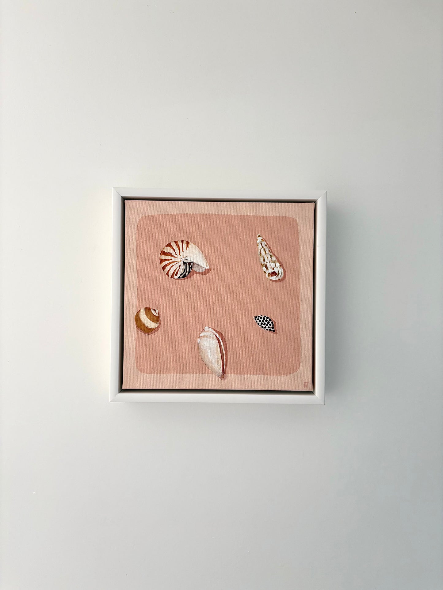 Dusty seashells