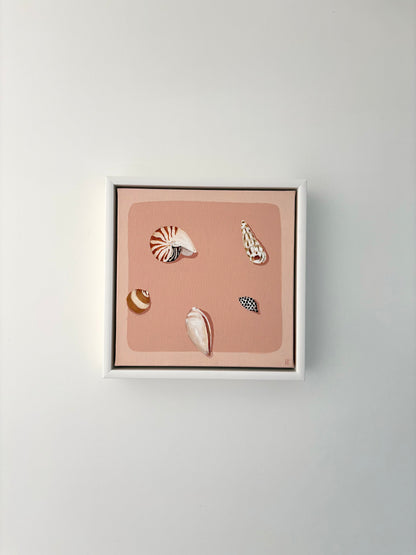 Dusty seashells