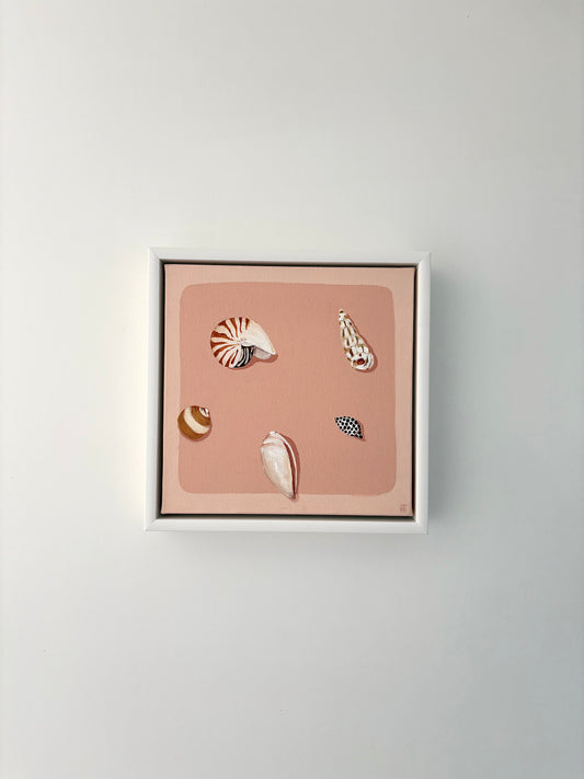 Dusty seashells