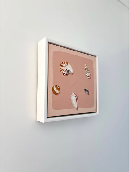 Dusty seashells